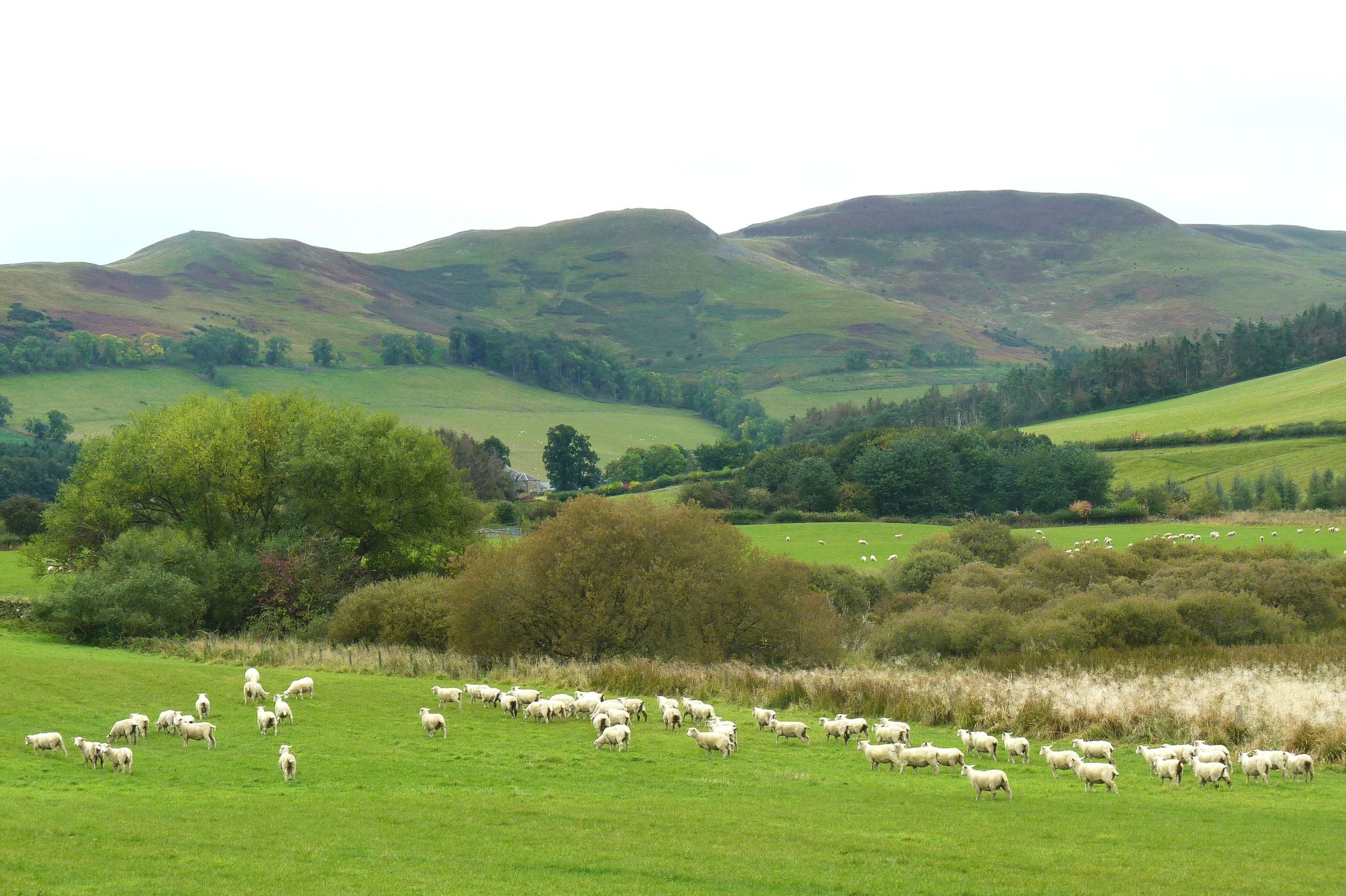 Yetholm